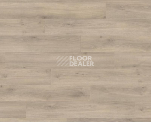 Ламинат Haro Tritty 100 4V ДУБ ЭМИЛИЯ ВЕЛЬВЕТ СЕРЫЙ 538695 фото 1 | FLOORDEALER